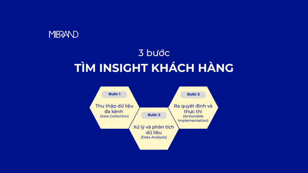 Insight khách hàng