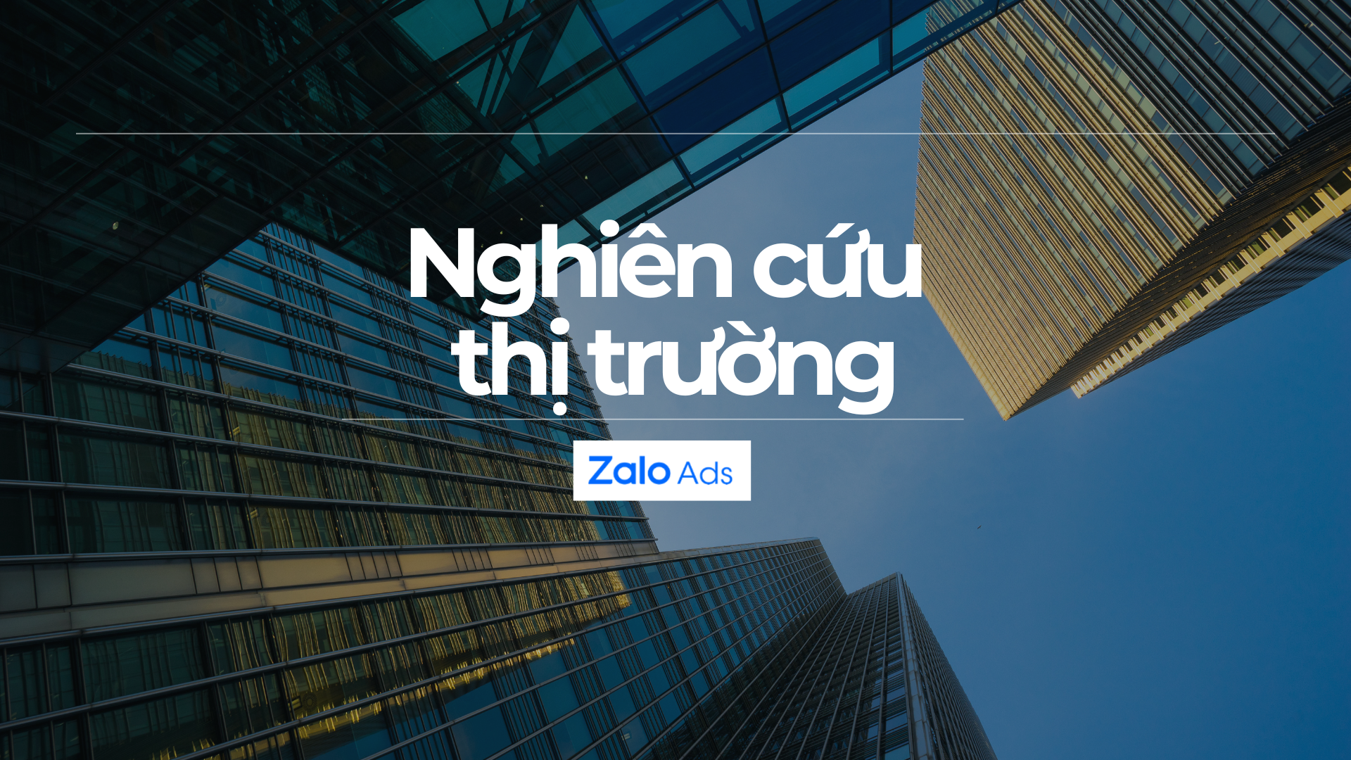 Dự án Nghiên cứu thị trường – ZALO ADS