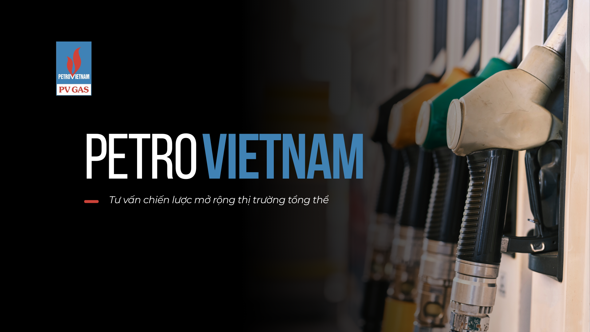 Dự án Tư vấn chiến lược mở rộng thị trường – PV GAS