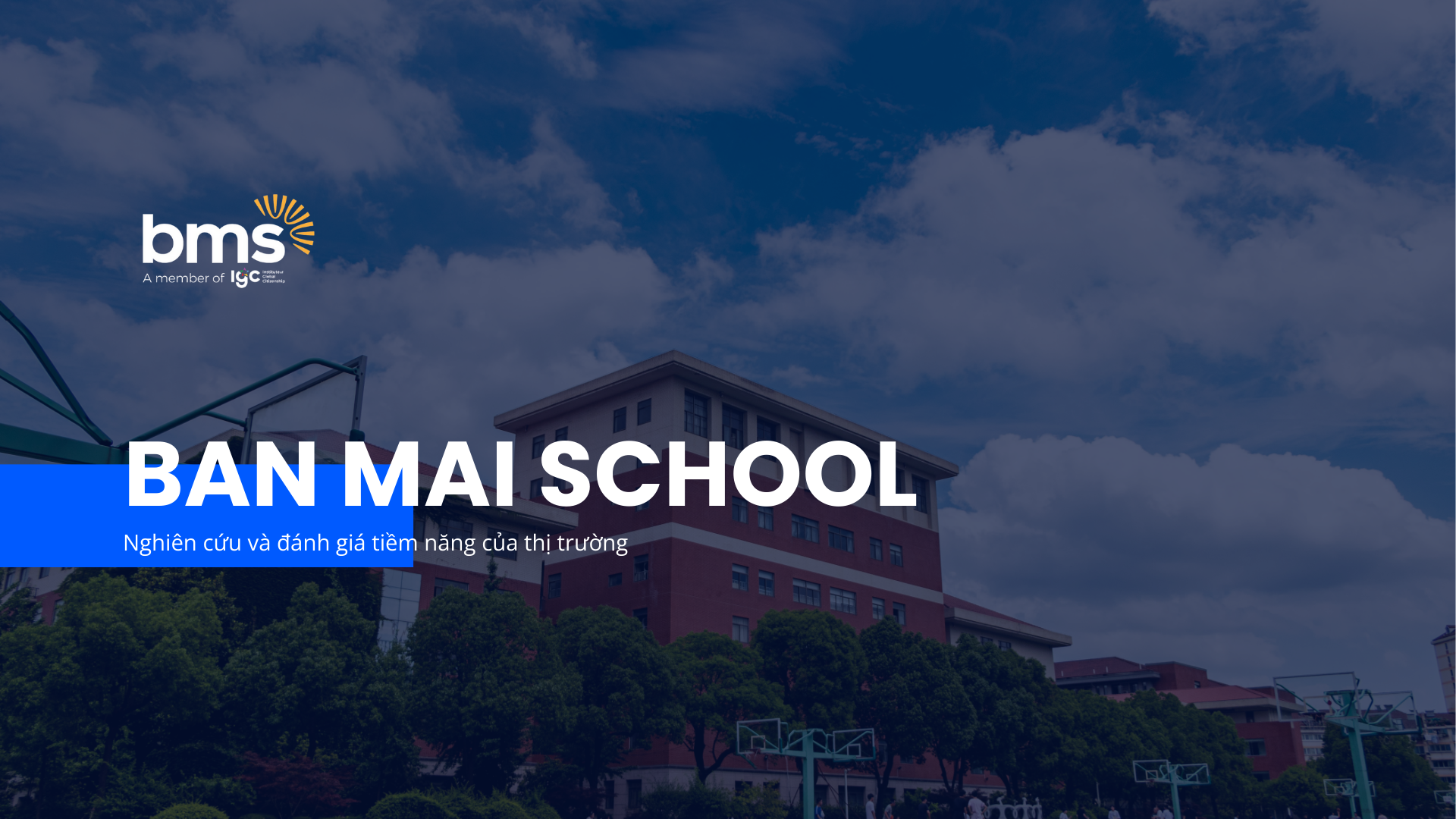Dự án Nghiên cứu và đánh giá thị trường – BAN MAI SCHOOL